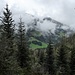 kurzes Sichtfenster