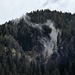 der Wald dampft
