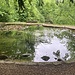 lauschiger kleiner Weiher im Schlosspark