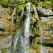 Tannegger Wasserfall 