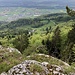Ausblick ins Mittelland - und zur Alp ...