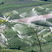 Beim Aufstieg sieht man, dass die Beregungsanlagen in den Obstplantagen von Latsch teilweise in Betrieb sind. Das hat aber nichts mit dem Klimawandel zu tun, sondern ist einfach der Tatsache geschuldet, dass der Vinschgau mit 400 bis 500 mm Niederschlag im Jahr schon immer zu den niederschlagärmsten Gebieten der Alpen bzw. von ganz Italien zählt. Die umliegenden 3000er schirmen Schlechtwetterfronten häufig ab. <br /><br />[http://wetter.bz.it/klima_suedtirol.html Klima in Südtirol]<br /><br />