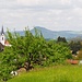 Steißlingem
