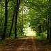 Licht am Ende des Tunnels