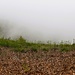 Panorami nascosti