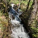 am sprudelnden Milchbach vorbei