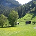 Wiesengelände bei Isla