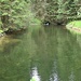 Kleiner Teich am Wegrand