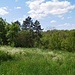 Rückweg nach Langenburg