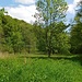 Unterwegs im Rötelbachtal 