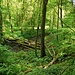 Unterwegs im Rötelbachtal 