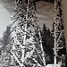 Photo aus der Ausstellung, vom ersten Anlaufturm.