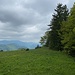 Blick vom Dürrenberg gegen Westen.<br /><br /><br />