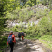Nachdem wir dem Eichelsbachweg etwas westwärts gefolgt waren, biegen wir an der Steinbruch-Hütte auf diesen Weg ein.