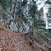 Sur la variante E du sentier reliant Les Monts de Collonges à l'Au d'Arbignon. 