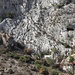 links Pythagorashöhle mit weisser Steintreppe,rechts die zweite Höhle