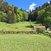 Hier verlasse ich die Strasse und gehe auf den Wald zu, der nach Chrinn führt.