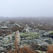 Aufstieg zum Kleinen Moosstock - Nebel zieht auf - gut zu erkennen: die aufgestellten Steine