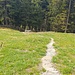 Abstieg - schön angelegter Steig mit Steinplatten 