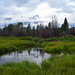 The Grand Tetons mirrored on the surface of swamp