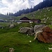 Die Alp Blatten - schönes offenes Gelände, bevor der Weg wieder bis zum Gipfel in den Wald eintaucht