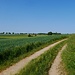 auf der Hohenloher Ebene