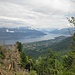 Dalla tagliafuoco 