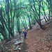 Nella faggeta verso il Monte Crocetta