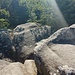 Da beisst man auf Granit. Hier auf dem Rappenfelsen., wo das Gestein schon 150.000 Jahre oder länger so herumliegen dürfte.