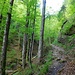 Aufstieg zur Haaralm