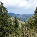 Blick zum Hochfelln