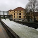 rauschend