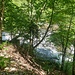 La Suze (auf Deutsch: Schüss) in der Taubenlochschlucht