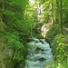 La Suze (auf Deutsch: Schüss) in der Taubenlochschlucht