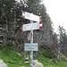 Arrivati al Passo del Culmine abbiano seguito brevemente il Sentiero W. Bonatti per poi risalire la cresta del M. Brusada.