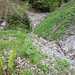 Blick vom Schuttkegel zum Zusammenfluss