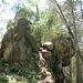 Dies ist der vordere Felsturm der Silberwand-Klippen. Ich kletterte ganz bis auf die oberste, im Foto hinter den Bäumen halb verdeckte Spitze hinauf (UIAA I). Nur die Rinne unten ist etwas schmutzig, weiter oben ist der Felsen  sauber.