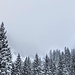 im Kar war Schluss (Januar)