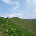 Gmeinwis-Grat