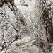 Abstieg im Kamin – heute Fixseil, wenn kein Fixseil, dann ist ein Seil empfehlenswert – sehr speckig. <br />Gurt und Abseilgerät braucht es - meiner Meinung nach - nicht.<br />