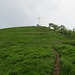In vista della croce di vetta del Monte Antola.