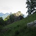 A sinistra dell’Alpe Damino si scorge un dente roccioso sormontato da una croce, che rappresenta il Pizzo Damino, che offre un panorama d’eccezione e che si raggiunge seguendo un piccolo sentierino in discesa che porta alla base dello sperone.