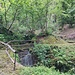 prima parte del sentiero nel bosco