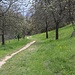Obstbaumwanderweg