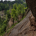 eine zauberhaft wilde Landschaft
