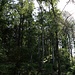 Modrý vrch/Bobří vrch (Blauer Berg/Bieber Berg), Gipfelaufbau