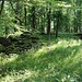 Hamry, Gipfelgrat