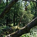 Hamry (Hammerberg/Sommerberg), Gipfel, umgesteckte Markierungsstange