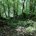 Ruine