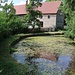 Rané (Morgendorf), Teich